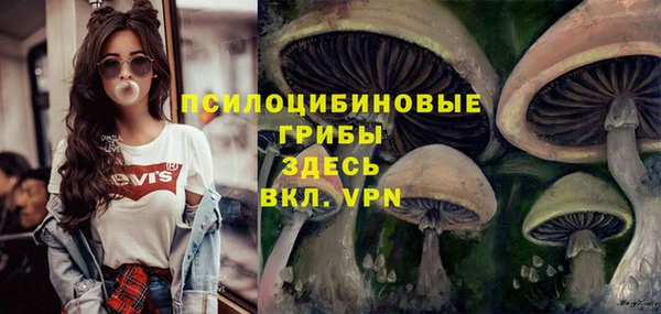тгк Алзамай
