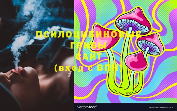 тгк Алзамай
