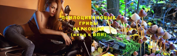 винт Абинск