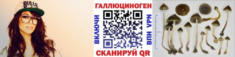 магазин наркотиков Тольятти Галлюциногенные грибы Psilocybine cubensis
