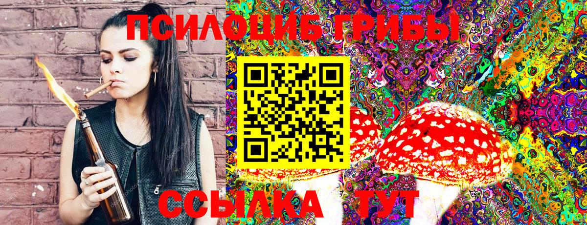 Тольятти  Псилоцибиновые грибы Psilocybe  Вход с VPN  Галлюциногенные грибы Cubensis 