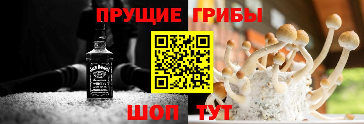 Псилоцибиновые грибы MAGIC MUSHROOMS Тольятти
